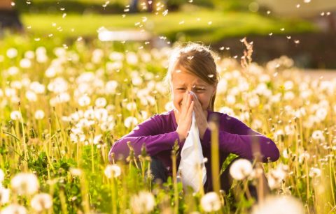 spring-allergies