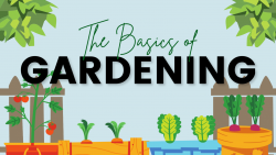Gardening Lets Get Started with the Basics e1680387946243