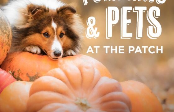 Christ United’s Pets & Pumpkins at the Patch