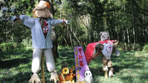 Scarecrows in the Gardens