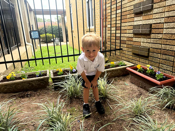 44–St.-Dominic’s-Garden-Shines 44–St.-Dominic’s-Garden-Shines