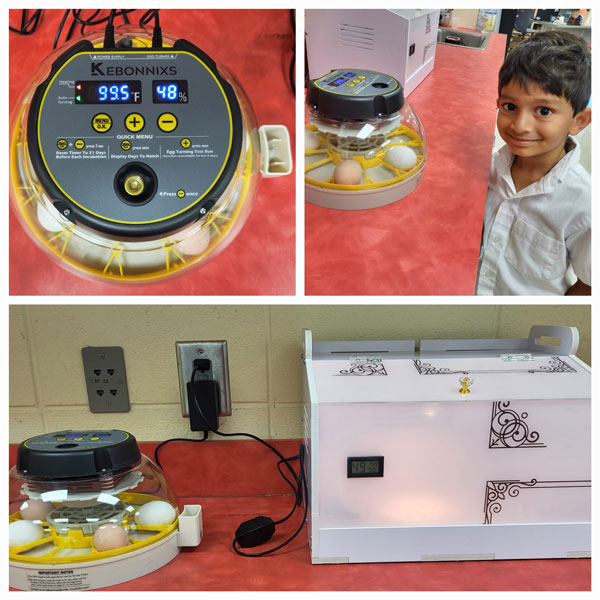 12–Council’s-STEM-Lab-Comes-to-Life 12–Council’s-STEM-Lab-Comes-to-Life