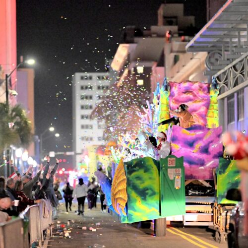 Greer's This is Alabama Mardi Gras Parade