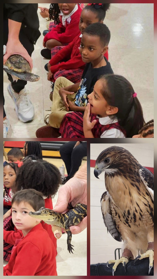 12–Council’s-Young-Learners-Go-Wild-for-Science