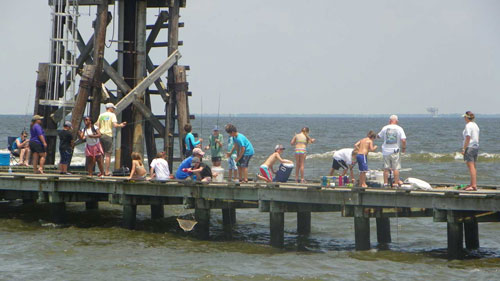 Dauphin-Island-Sea-Lab---Summer-Day-Camps3