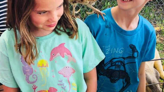 St. Luke’s Art Without Limits Summer Camp1