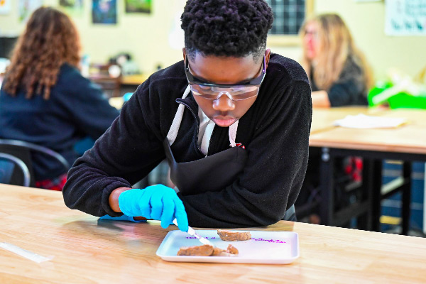 17–St.-Luke’s-Students-Bring-Science-to-Life